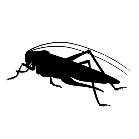 Grasshopper green vector illustration. Black silhouette profile side.のイラスト素材