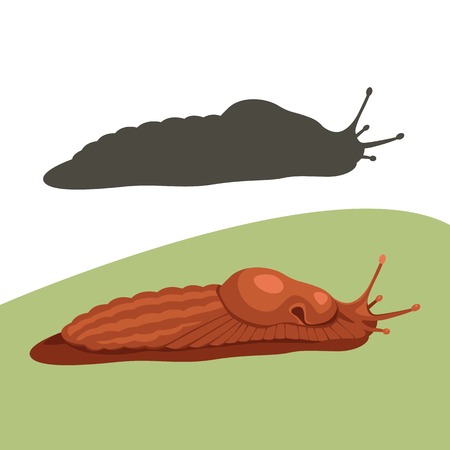  slug snail  cartoon vector illustration flat style front sideのイラスト素材