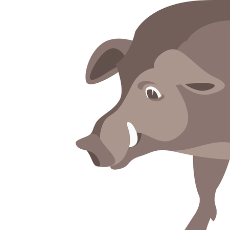 boar head vector illustration flat styleのイラスト素材