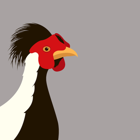 Silver pheasant head vector illustration. Flat style, front side.のイラスト素材