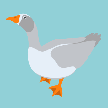 Cartoon goose vector illustration flat style profile side.のイラスト素材