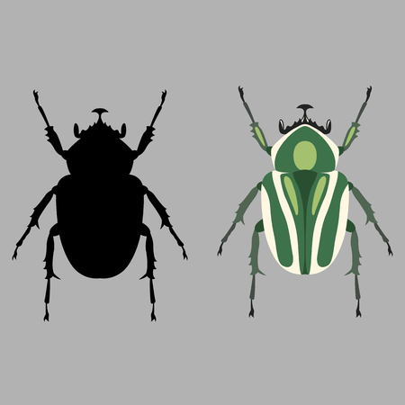 scarab insect  vector illustration flat style silhouette setのイラスト素材
