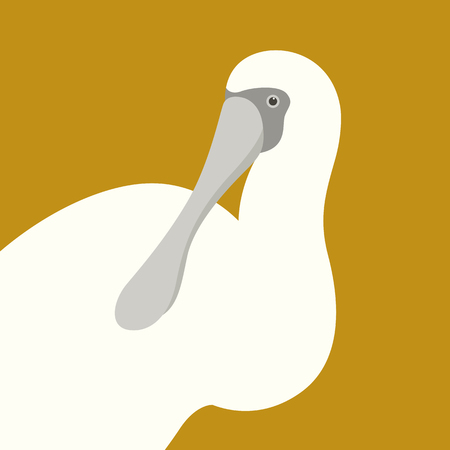 A spoonbill ibis head vector illustration flat style profile sideのイラスト素材