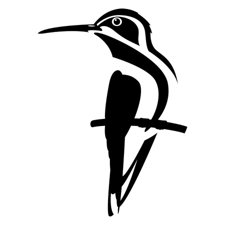 colibri bird vector illustration flat style profile sideのイラスト素材