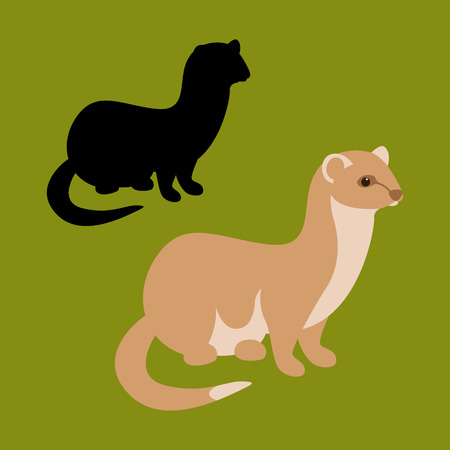 weasel  vector illustration flat style black silhouette setのイラスト素材