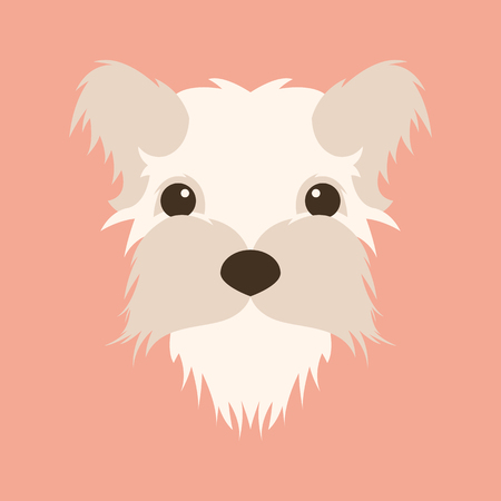 fluffy dog small face vector illustration flat styleのイラスト素材