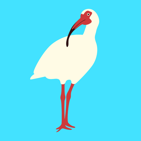 white ibis  bird   vector illustration flat style   blue backgroundのイラスト素材