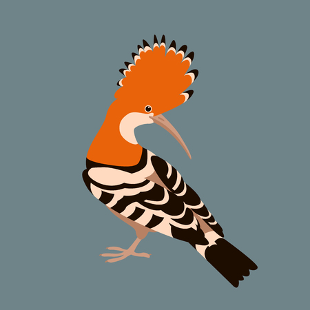 hoopoe bird vector illustration flat style profile sideのイラスト素材