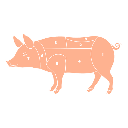 cutting pork scheme vector illustration flat style profile sideのイラスト素材
