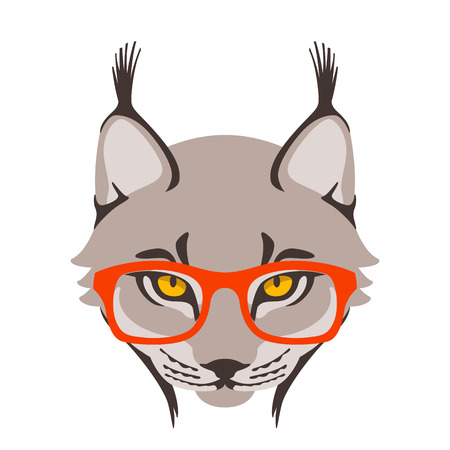 lynx  in the glasses vector illustration flat style front sideのイラスト素材