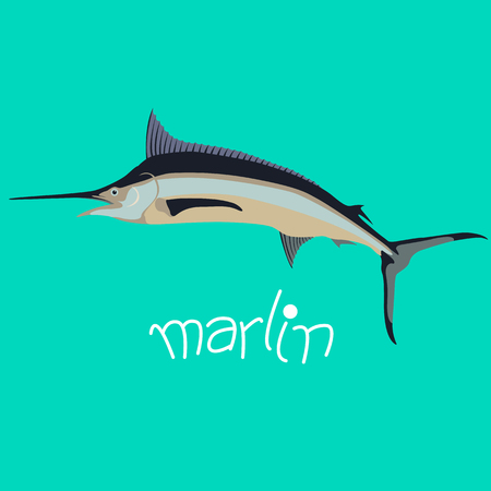 marlin  fish vector illustration flat style  profile sideのイラスト素材