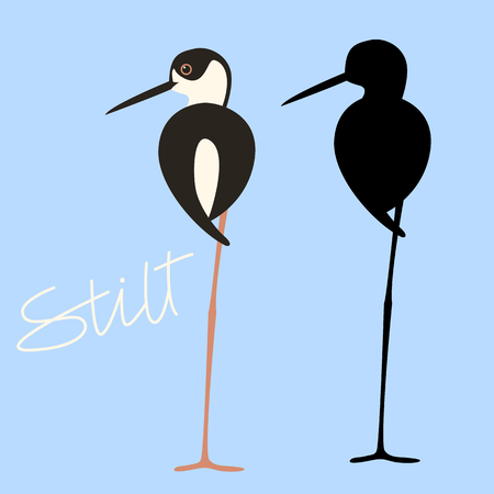 bird stilt vector illustration flat style black silhouette setのイラスト素材