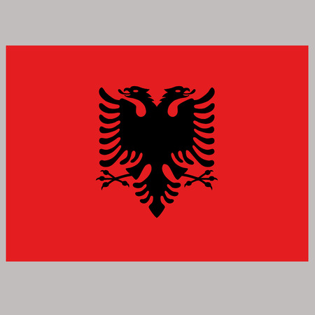 albania  flag on gray background vector illustration  flatのイラスト素材