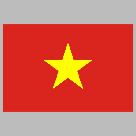 flag  vietnam   on gray background vector illustration flat styleのイラスト素材