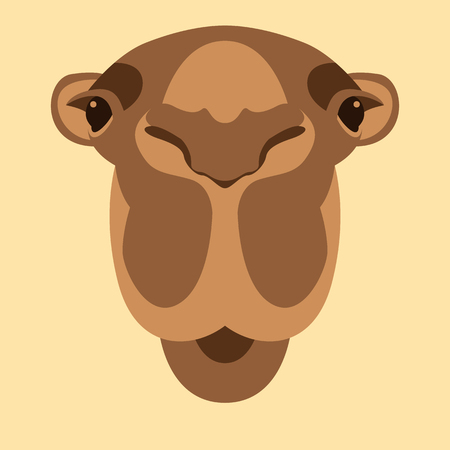 camel  head face vector illustration flat style front sideのイラスト素材