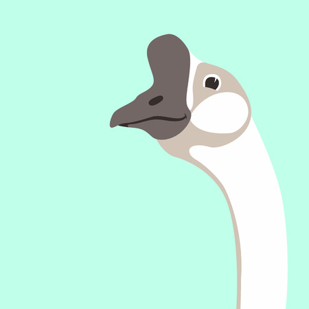 goose head  vector illustration flat style front sideのイラスト素材