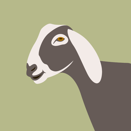 goat  head  vector illustration flat style  profile sideのイラスト素材