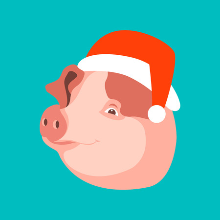 Pig in a cap of Santa Claus  vector illustration flat styleのイラスト素材
