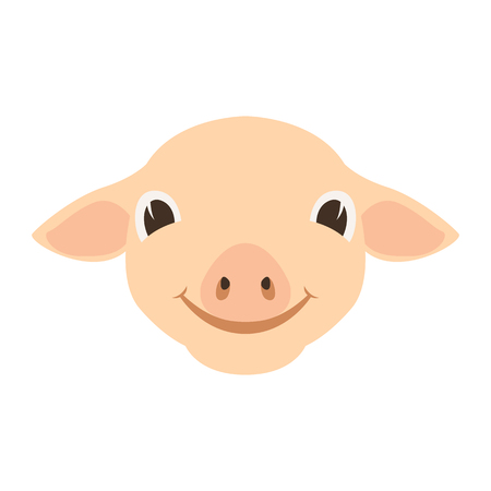 pig  face head vector illustration flat style front sideのイラスト素材
