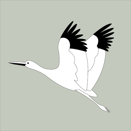 stork bird flying, vector illustration ,  lining drawのイラスト素材
