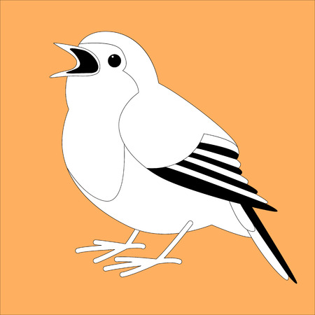 robin bird , vector illustration  ,lining drawのイラスト素材