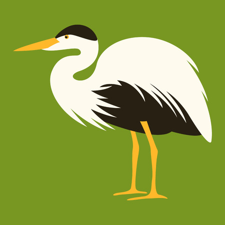 cartoon heron ,vector illustration, profile viewのイラスト素材