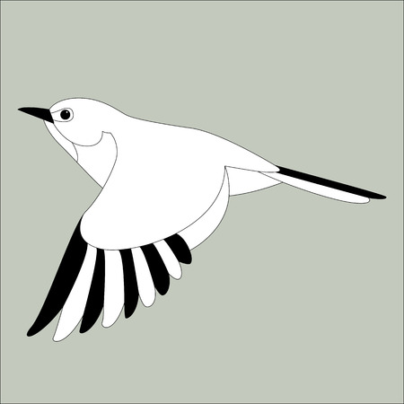 flying flycatcher ,vector illustration , lining drawのイラスト素材