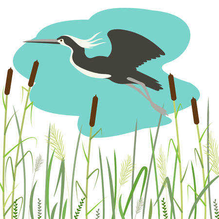 heron  flying ,vector illustration,flat style ,profileのイラスト素材