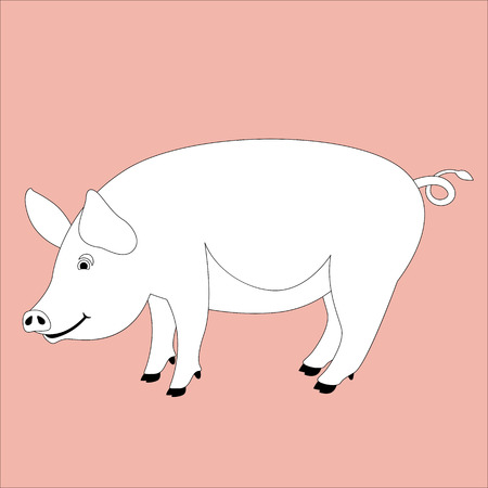 pig  vector illustration , lining draw ,profile viewのイラスト素材