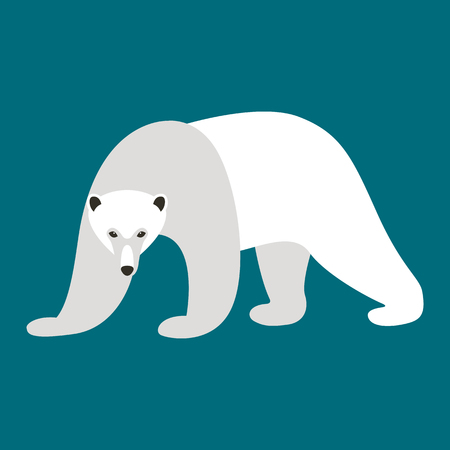 polar bear , vector illustration , flat style ,front viewのイラスト素材