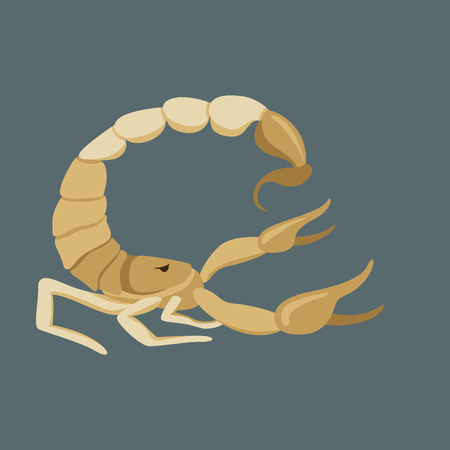 Scorpio vector illustration,flat style ,profile sideのイラスト素材