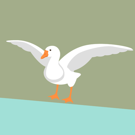 goose  vector illustration , flat style ,front sideのイラスト素材