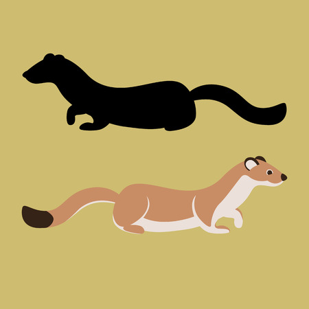weasel vector illustration, flat style, black silhouette ,profile viewのイラスト素材