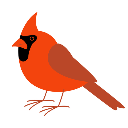 cardinal bird,vector illustration, flat style, profile sideのイラスト素材
