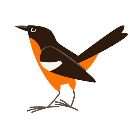flycatcher bird, vector illustration, flat style,profile viewのイラスト素材