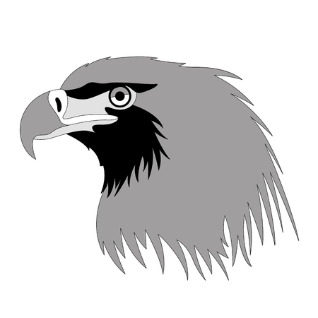 eagle head , vector illustration, flat style, profile sideのイラスト素材