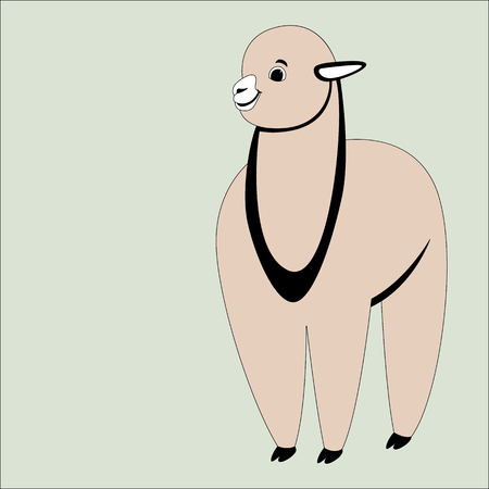 baby lama, vector illustration,lining draw,front sideのイラスト素材