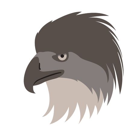 eagle bird head,  vector illustration,flat style, profile sideのイラスト素材
