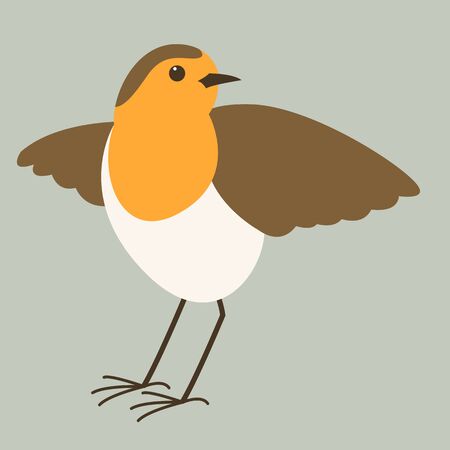robin bird, vector illustration, flat style, front viewのイラスト素材