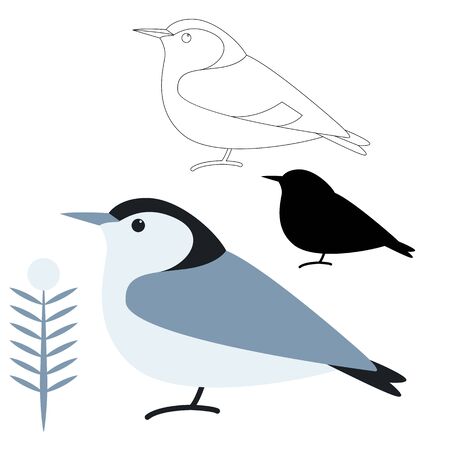 white breasted nuthatch north american bird, flat style,setのイラスト素材