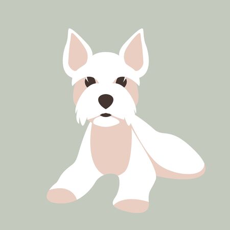 Maltese dog, vector illustration, flat style, front viewのイラスト素材