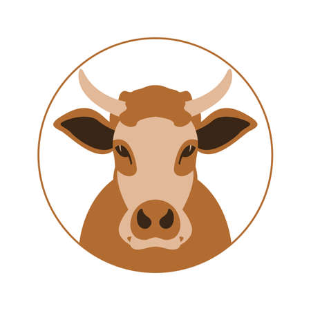 cow face, front view, vector illustration, flat styleのイラスト素材