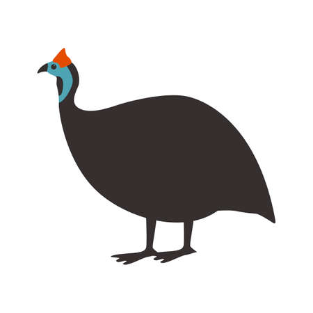 guinea fowl bird, vector illustration, flat style, side viewのイラスト素材