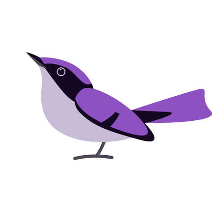 wren bird, vector illustratio, flat style, side viewのイラスト素材