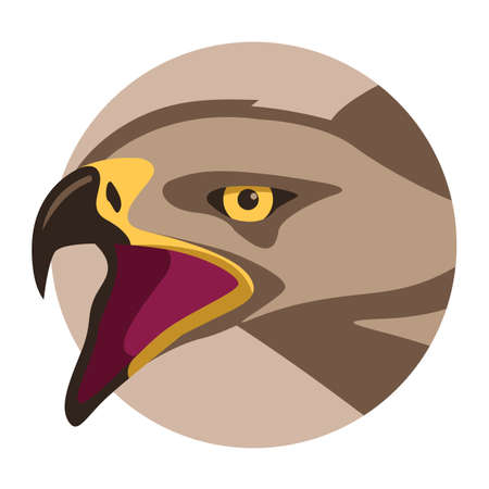 eagle face head, vector illustration, flat style, front viewのイラスト素材