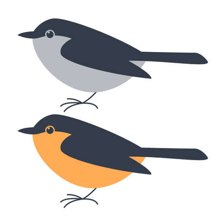 flycatcher bird, flat style, vector illustration, side viewのイラスト素材