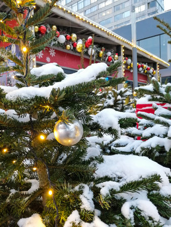 Decorated with lights and toys for Christmas, live Christmas trees under the snowの写真素材