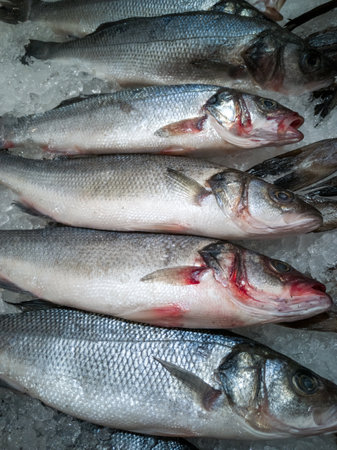 Fresh cooled fish sibias mascara whole on ice