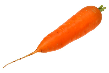 Carrot isolated  isolated on white with Clipping Pathの写真素材