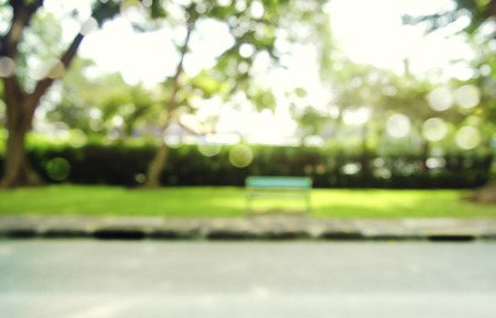 defocused bokeh background of  garden trees in sunny dayの写真素材